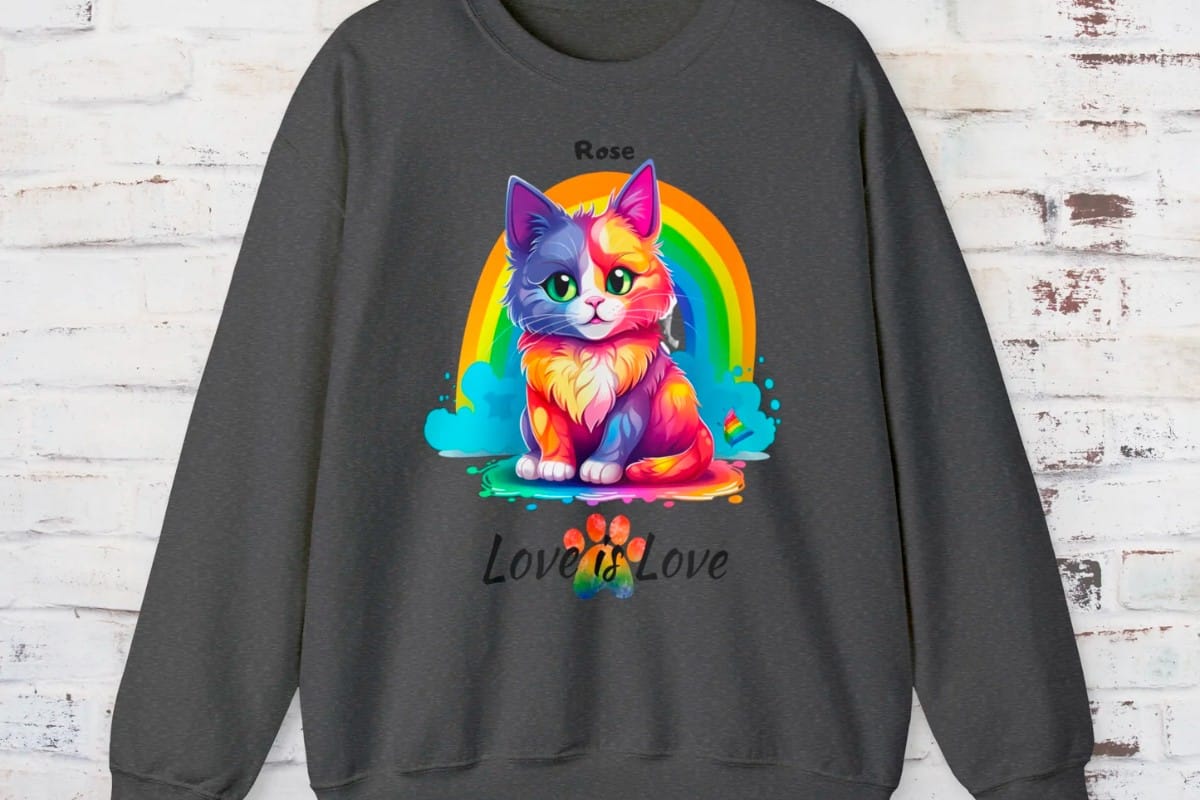 Pull personnalisé unisexe avec chat Love is Love