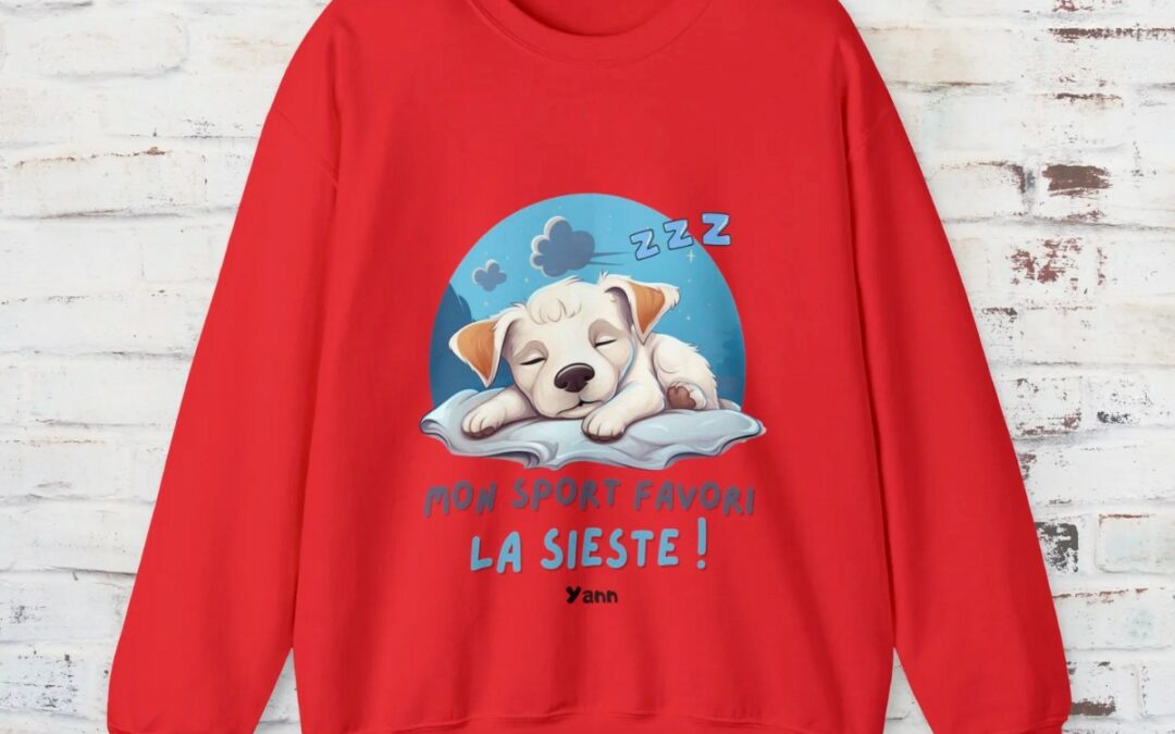 Champion de la sieste : pull unisexe pour les pros du repos